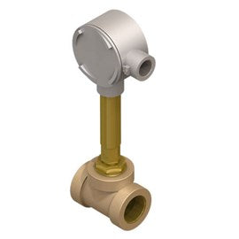 S0000-FLW1 Flow Switch | 1-1/4" NPTI