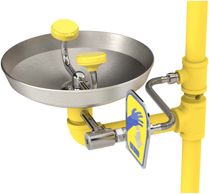 Plastic Head Pedestal Safety Shower with Stainless Steel Bowl Eye Wash