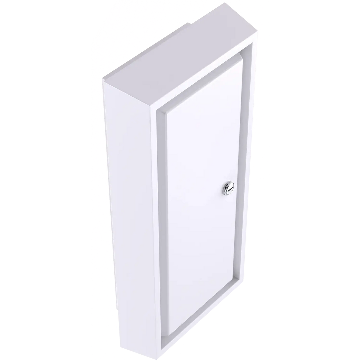 Ligature-Resistant Semi-Recessed Fire Extinguisher Cabinet with Locking Door.